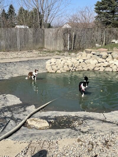 EZDogPark - Howell, MI