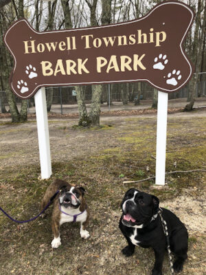 Bark Park Off Leash Dog Park