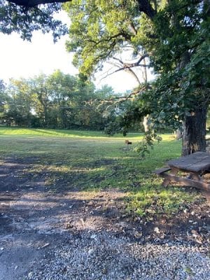 Franck Park