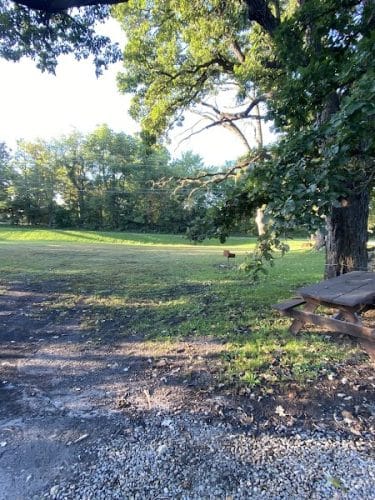 Franck Park