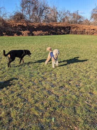 Hudson Dog Park