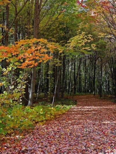 Hudsonville Nature Center - Hudsonville,
