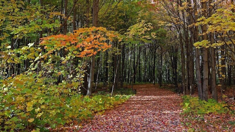 Hudsonville Nature Center - Hudsonville,