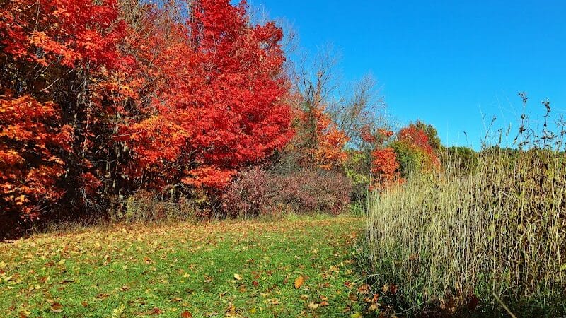 Hudsonville Nature Center - Hudsonville,