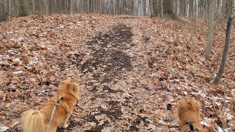Hudsonville Nature Center - Hudsonville,