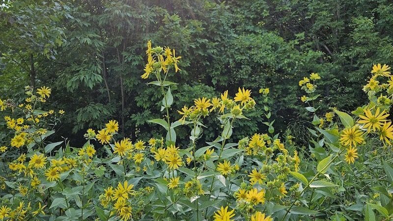 Hudsonville Nature Center - Hudsonville,