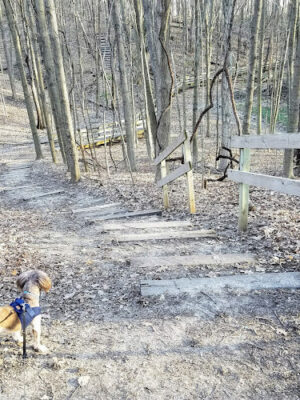 Hudsonville Nature Center