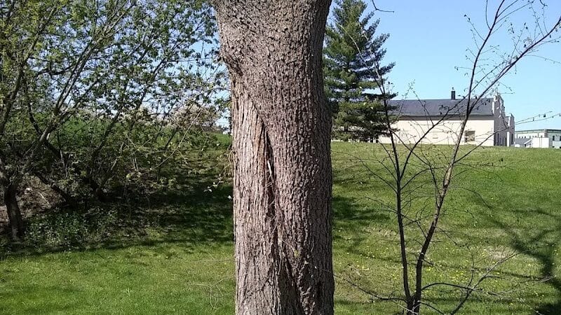 Veterans Park - Hudsonville,