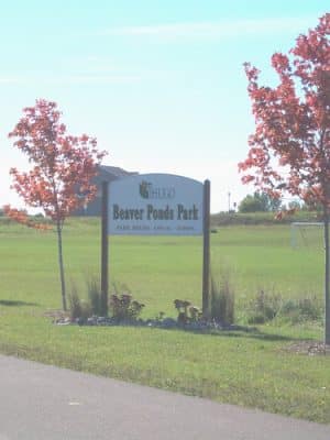 Beaver Ponds Park