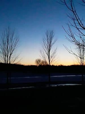 Beaver Ponds Park