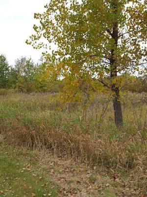 Beaver Ponds Park