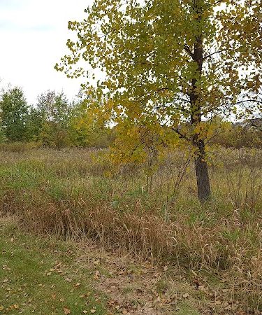 Beaver Ponds Park