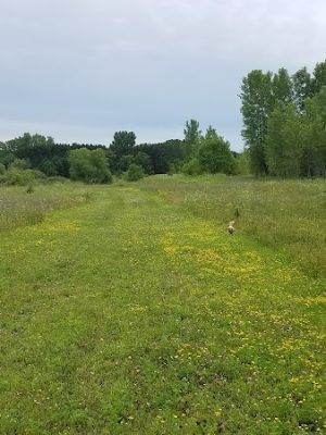 Future Irish Avenue Park - Hugo, MN