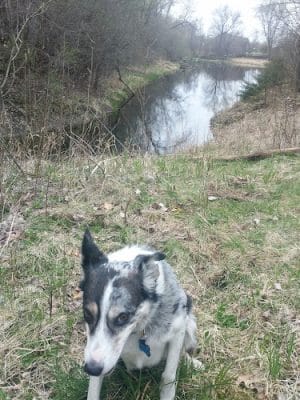 McCollar Park