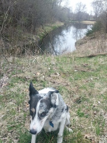 McCollar Park
