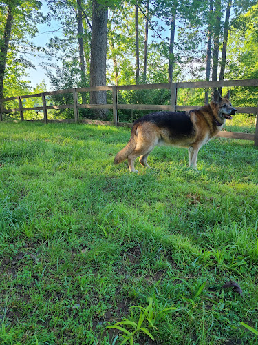 Mountain Valley Kennel - Hume, VA