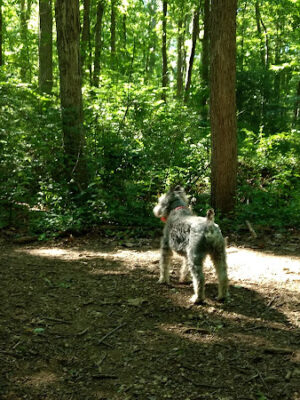 Berkeley Jackson County Park