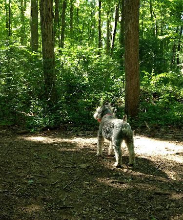 Berkeley Jackson County Park