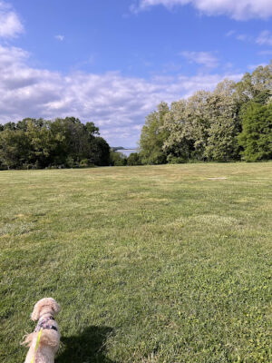 Coindre Hall Dog Park