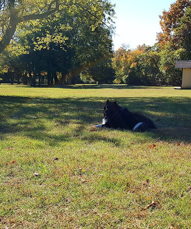 West Hills Small Dog Run