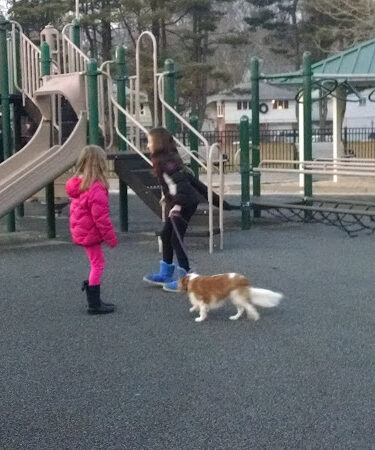 Heckscher Park