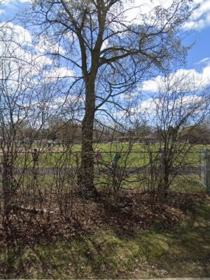 Burton Park