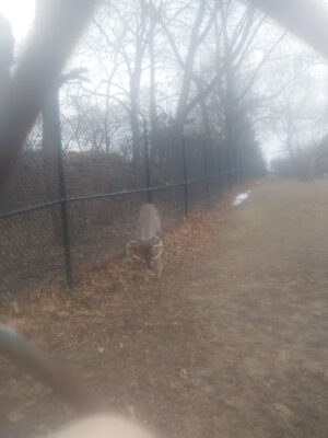 Scotia Park