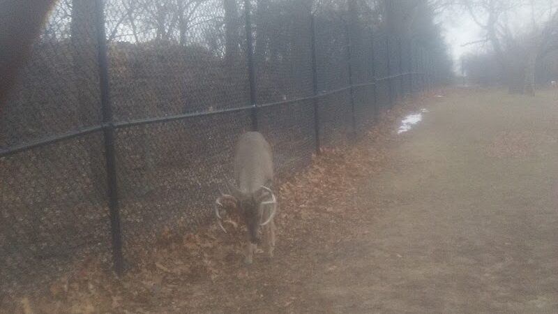 Scotia Park - Huntington Woods,