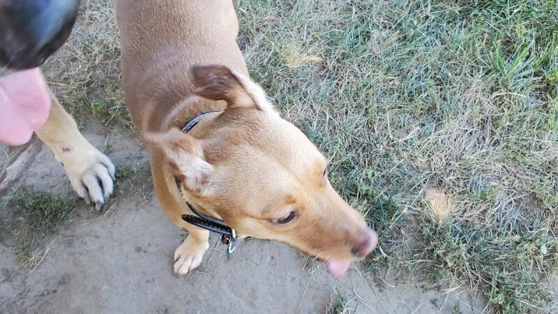 Erie Metro Bark Park - Huron, OH - Huron,