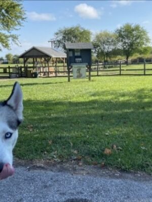 Erie Metro Bark Park - Huron, OH