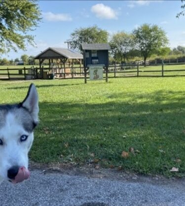 Erie Metro Bark Park - Huron, OH