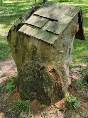 Erie Metro Bark Park - Huron, OH