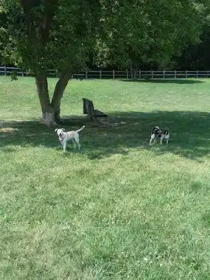 Erie Metro Bark Park - Huron, OH