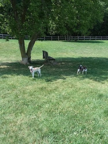 Erie Metro Bark Park - Huron, OH