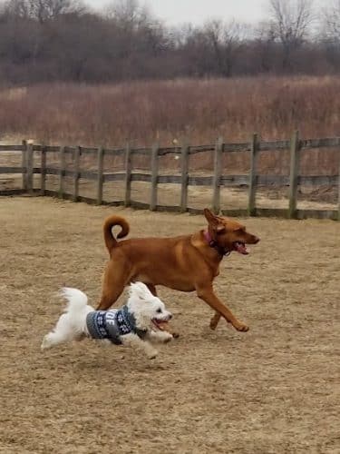 Erie Metro Bark Park - Huron, OH