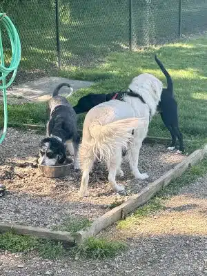 Erie Metro Bark Park - Huron, OH