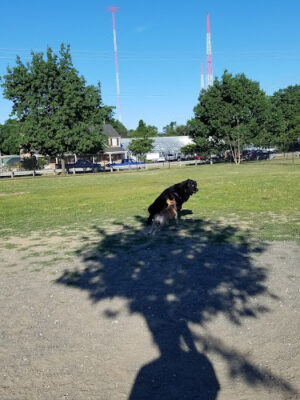 Heurich Dog Park