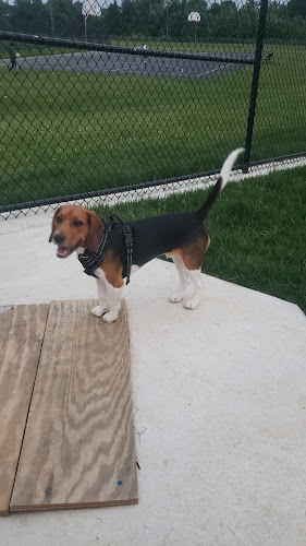 Kentland Dog Park