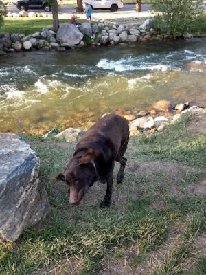 Courtney Ryley Cooper Park
