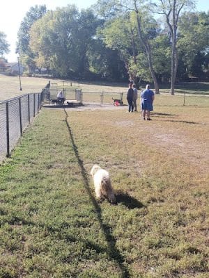 Dog Park at Santa Fe Park