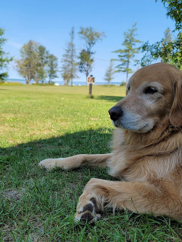 Burt Lake State Park