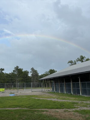 Indian River Pet Resort