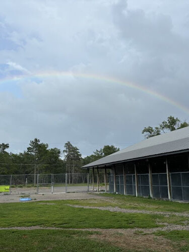 Indian River Pet Resort