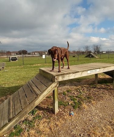 Dog Park