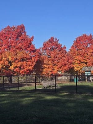 Gordon Gilmer Park (membership only)