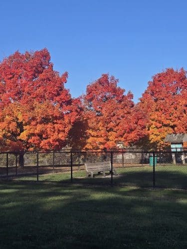 Gordon Gilmer Park (membership only)