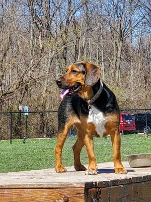 Gordon Gilmer Park (membership only)