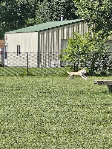 Smock Bark Park