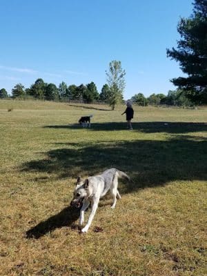 Smock Bark Park