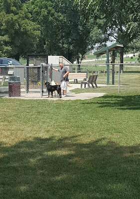 Downey Memorial Pk and Indianola Off-Leash Dog Park